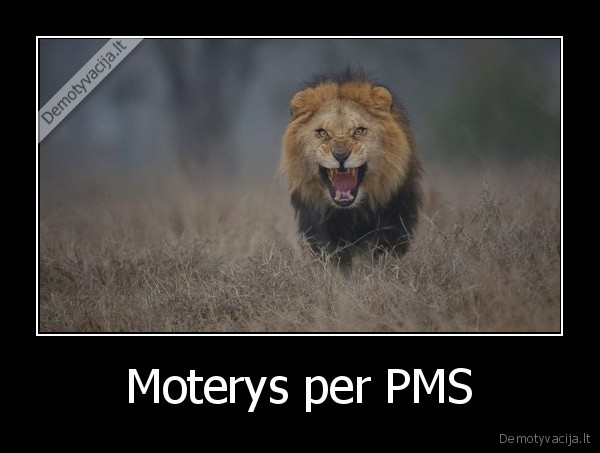 Moterys per PMS - 