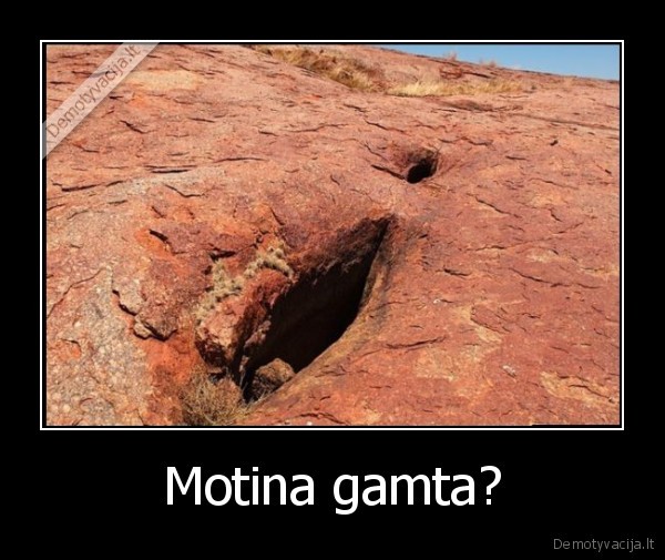 Motina gamta? - 