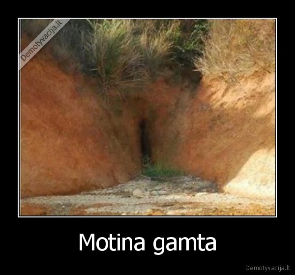 Motina gamta - 