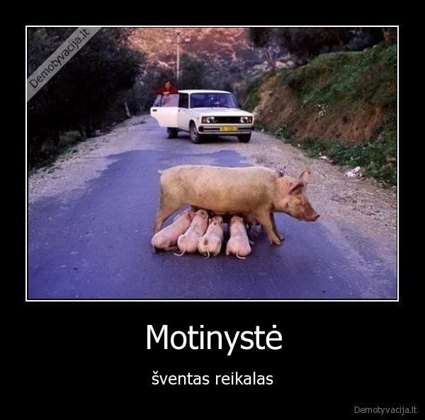 Motinystė - šventas reikalas