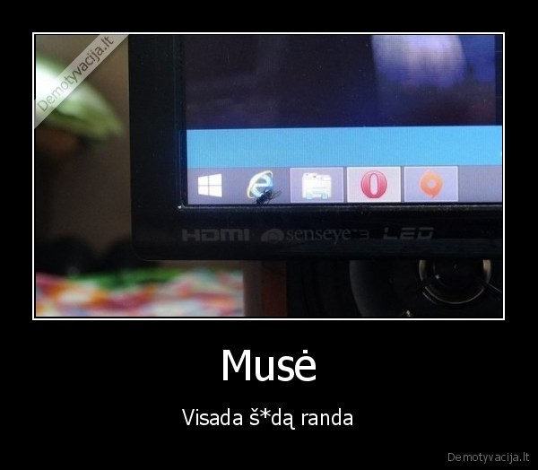 Musė - Visada š*dą randa