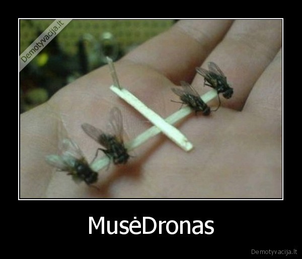 MusėDronas - 