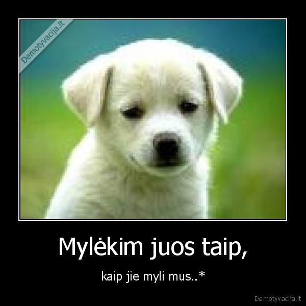Mylėkim juos taip, - kaip jie myli mus..*