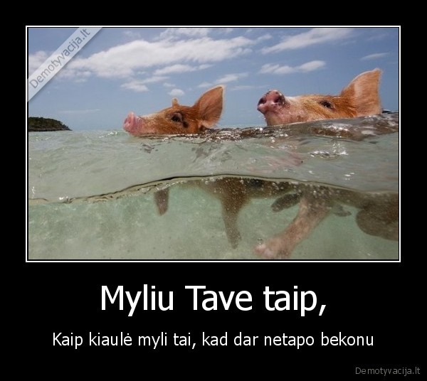 Myliu Tave taip, - Kaip kiaulė myli tai, kad dar netapo bekonu