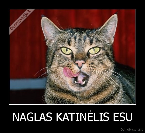 NAGLAS KATINĖLIS ESU - 