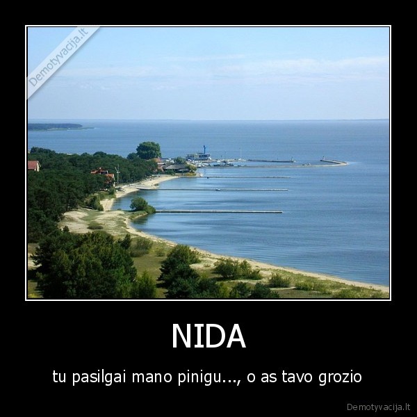 NIDA - tu pasilgai mano pinigu..., o as tavo grozio