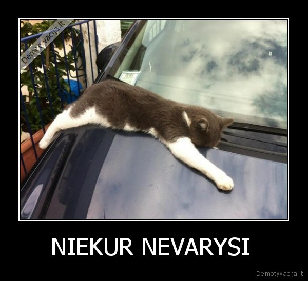 NIEKUR NEVARYSI  - 