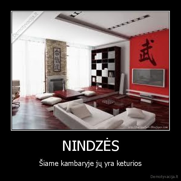 NINDZĖS - Šiame kambaryje jų yra keturios