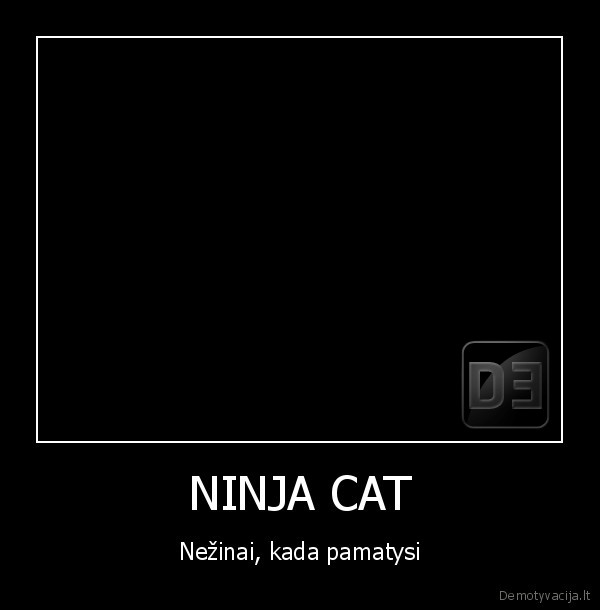 NINJA CAT - Nežinai, kada pamatysi