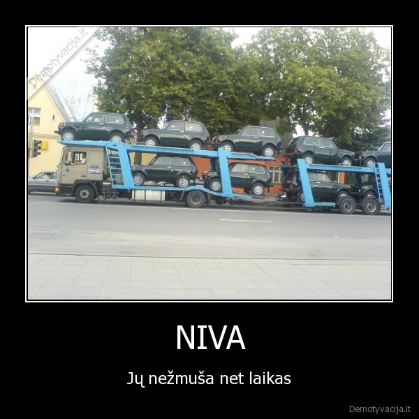 NIVA - Jų nežmuša net laikas