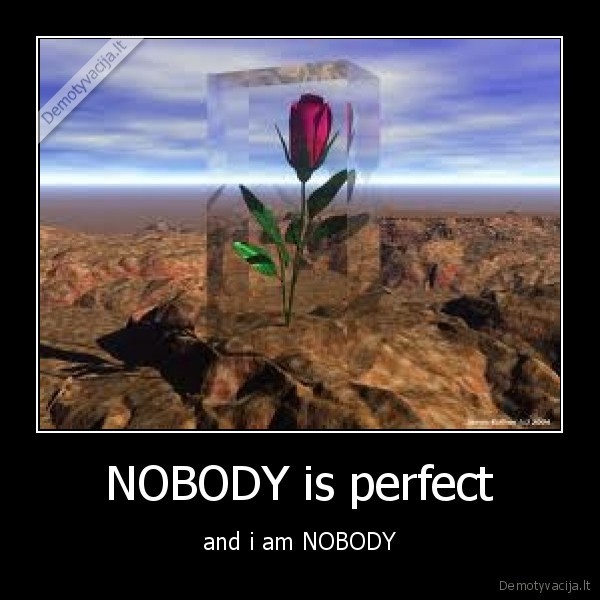 NOBODY is perfect - and i am NOBODY