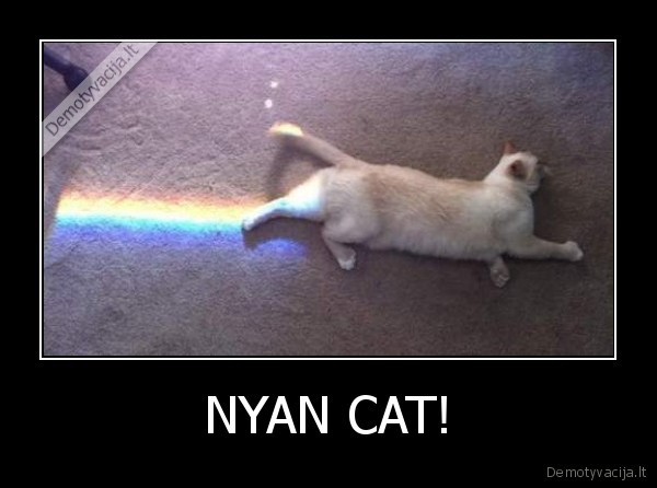 NYAN CAT! - 