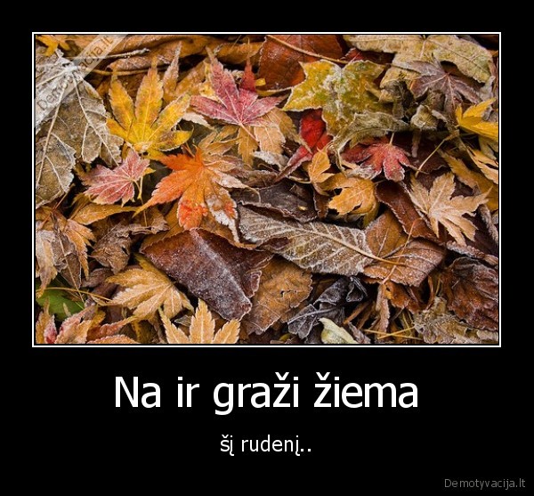 Na ir graži žiema - šį rudenį..