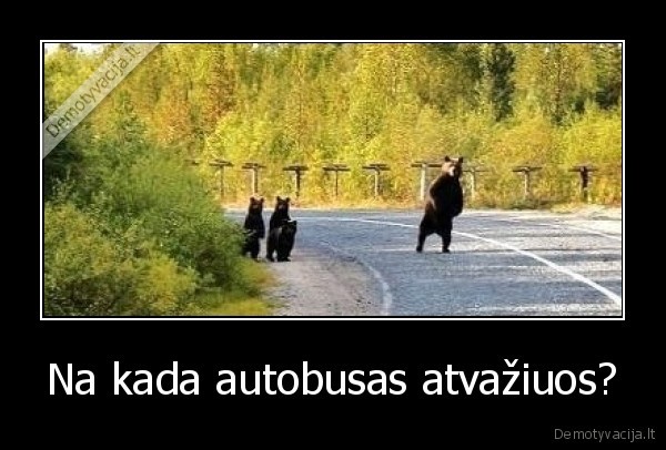 Na kada autobusas atvažiuos? - 