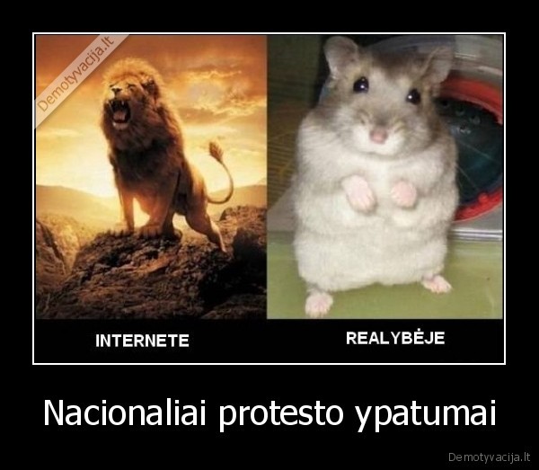 Nacionaliai protesto ypatumai - 