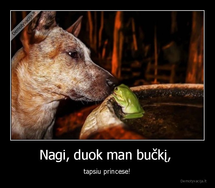 Nagi, duok man bučkį,  - tapsiu princese!