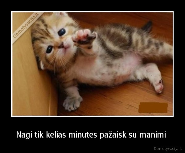 Nagi tik kelias minutes pažaisk su manimi  - 