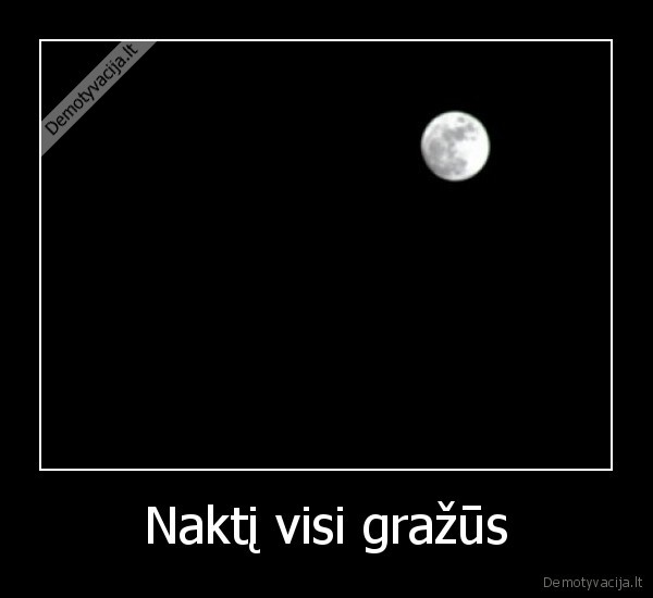 Naktį visi gražūs - 