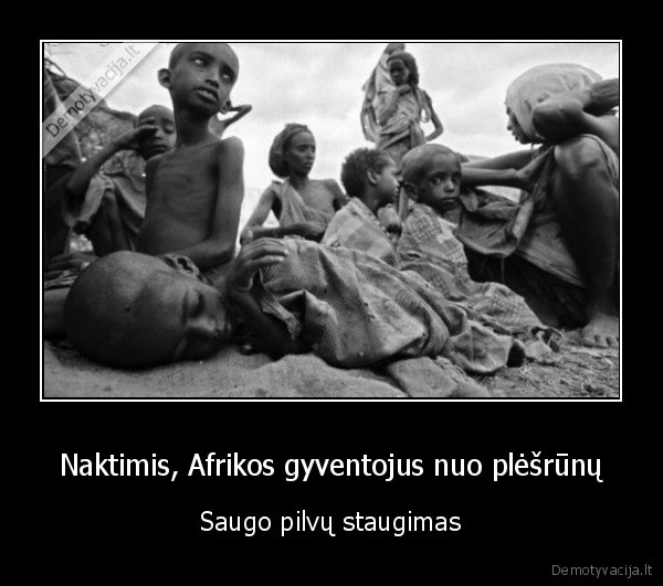 Naktimis, Afrikos gyventojus nuo plėšrūnų - Saugo pilvų staugimas