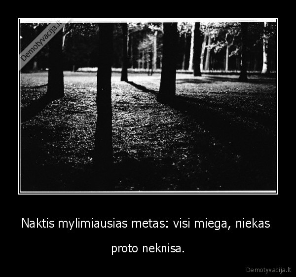 Naktis mylimiausias metas: visi miega, niekas  - proto neknisa.