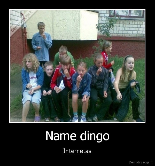 Name dingo - Internetas