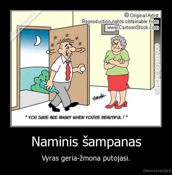 Naminis šampanas - Vyras geria-žmona putojasi.