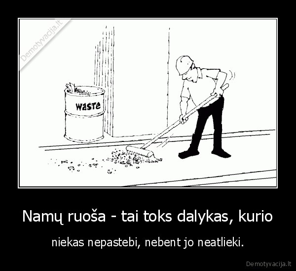 Namų ruoša - tai toks dalykas, kurio - niekas nepastebi, nebent jo neatlieki.