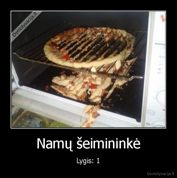 Namų šeimininkė - Lygis: 1