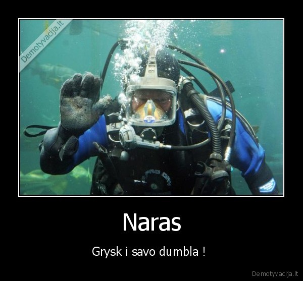 Naras - Grysk i savo dumbla ! 