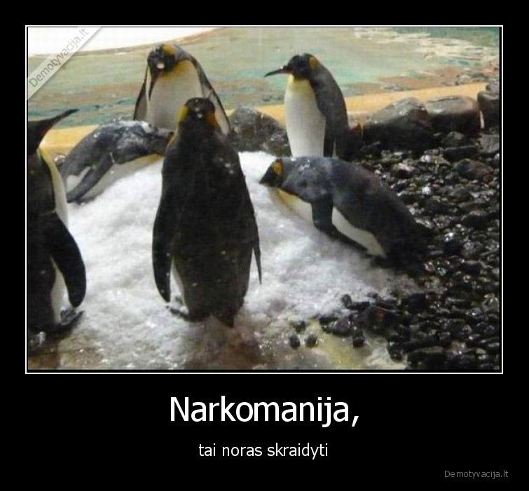 Narkomanija, - tai noras skraidyti