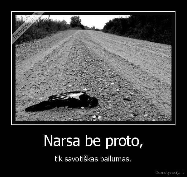 Narsa be proto, - tik savotiškas bailumas.