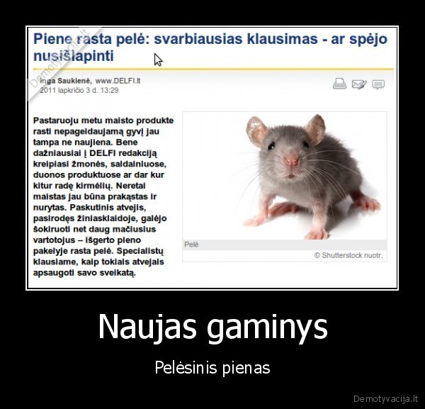 Naujas gaminys - Pelėsinis pienas