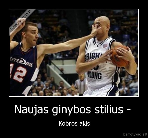 Naujas ginybos stilius -  - Kobros akis