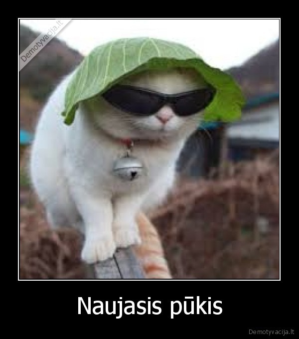 Naujasis pūkis - 