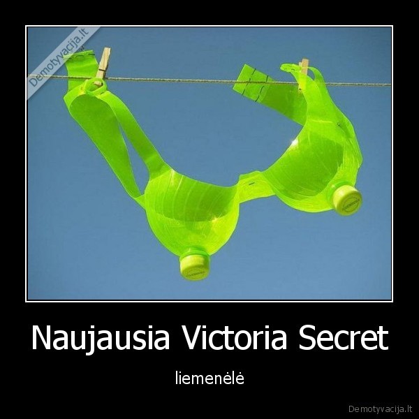 Naujausia Victoria Secret - liemenėlė