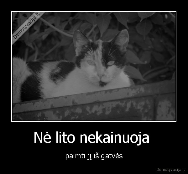 Nė lito nekainuoja  - paimti jį iš gatvės