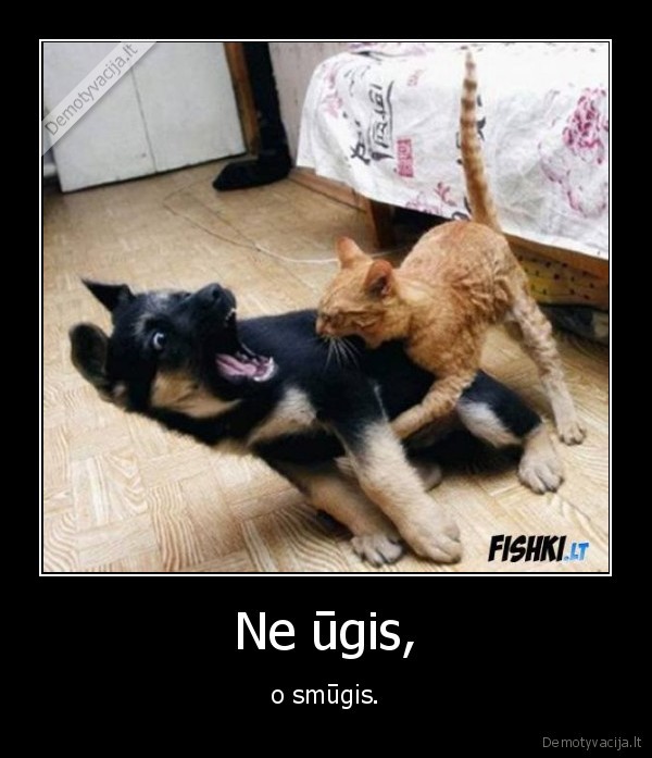 Ne ūgis, - o smūgis.