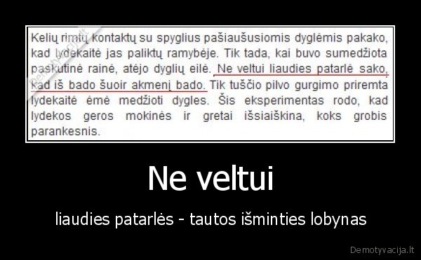 Ne veltui - liaudies patarlės - tautos išminties lobynas