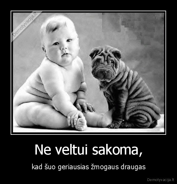 Ne veltui sakoma, - kad šuo geriausias žmogaus draugas