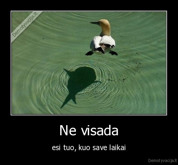 Ne visada - esi tuo, kuo save laikai