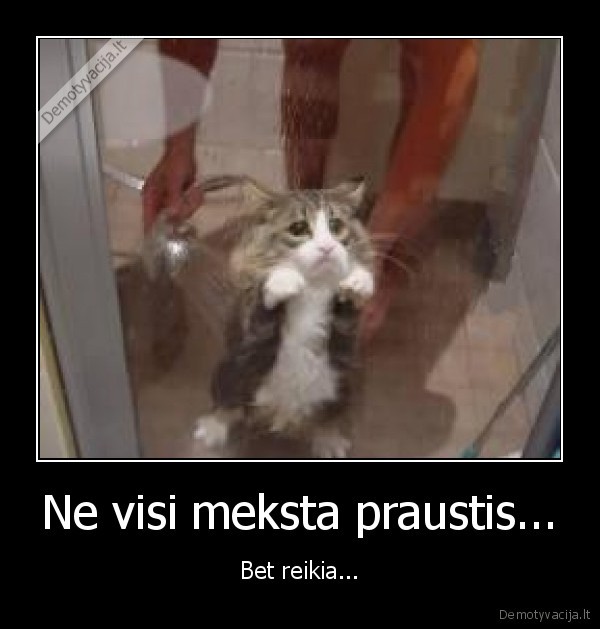 Ne visi meksta praustis... - Bet reikia...