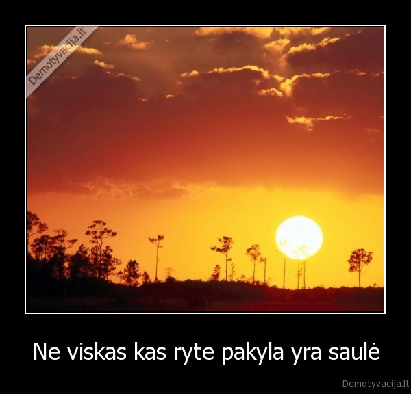 Ne viskas kas ryte pakyla yra saulė - 