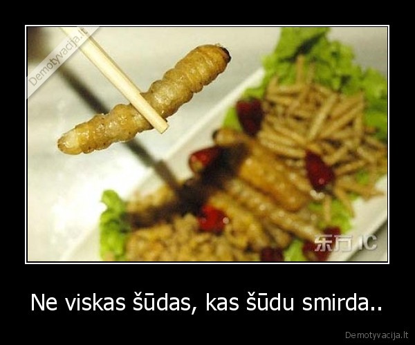 Ne viskas šūdas, kas šūdu smirda.. - 