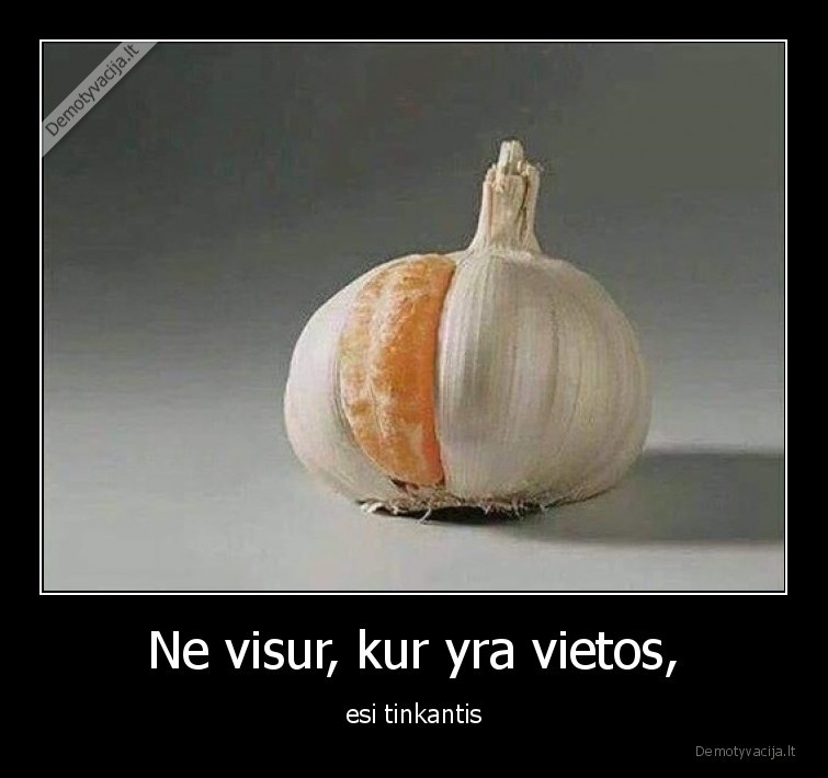 Ne visur, kur yra vietos, - esi tinkantis