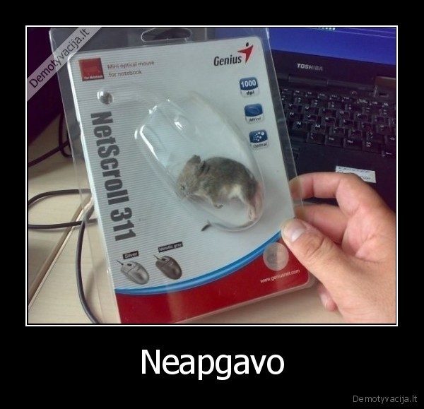 Neapgavo - 