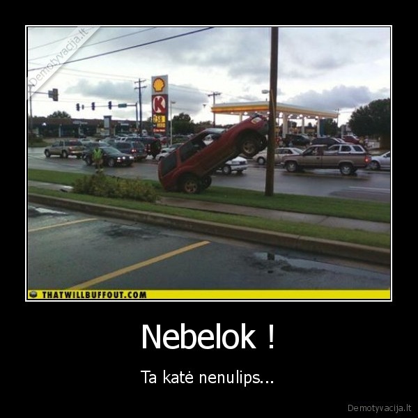 Nebelok ! - Ta katė nenulips...