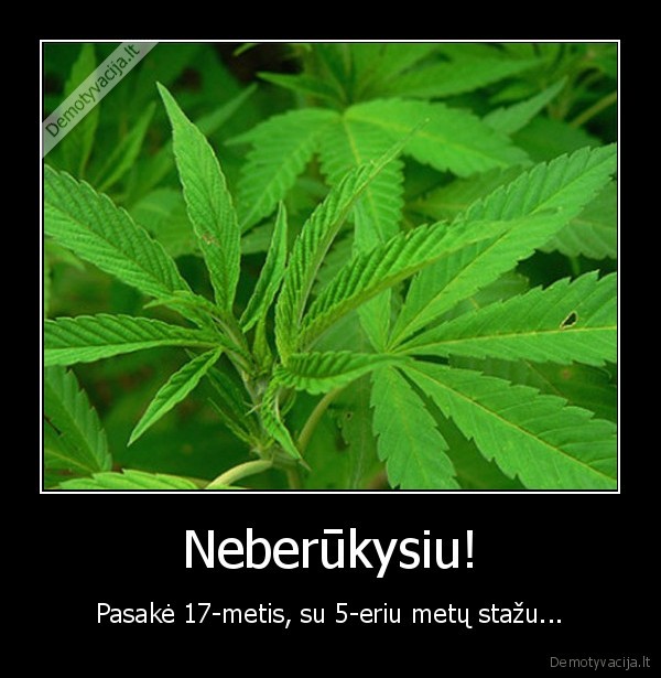 Neberūkysiu! - Pasakė 17-metis, su 5-eriu metų stažu...