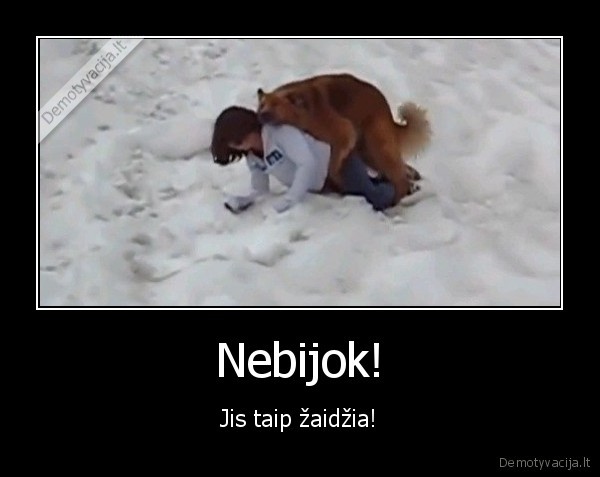 Nebijok! - Jis taip žaidžia!