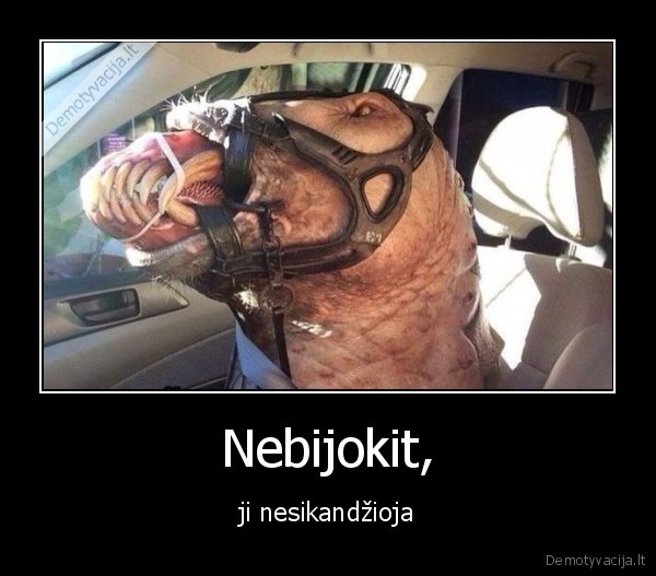 Nebijokit, - ji nesikandžioja