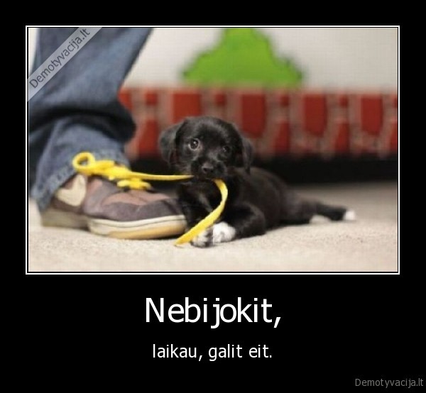 Nebijokit, - laikau, galit eit.